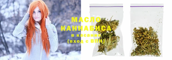 крисы Верхний Тагил
