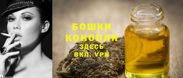 крисы Верхний Тагил