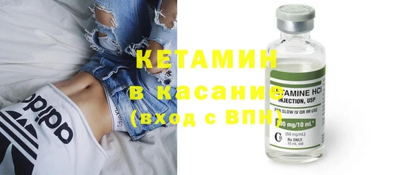 крисы Верея