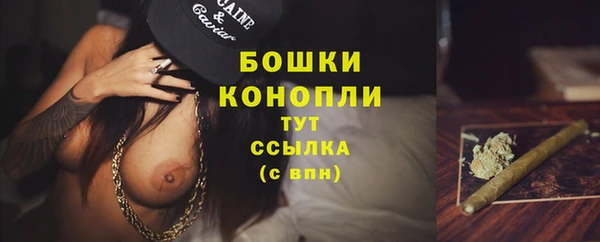 крисы Верея