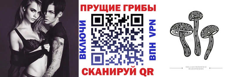 дарнет шоп  Янаул  Псилоцибиновые грибы прущие грибы 
